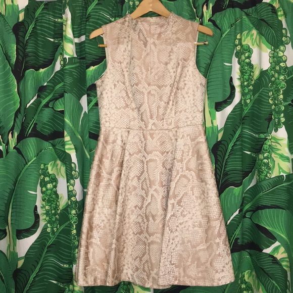ted baker snake dress